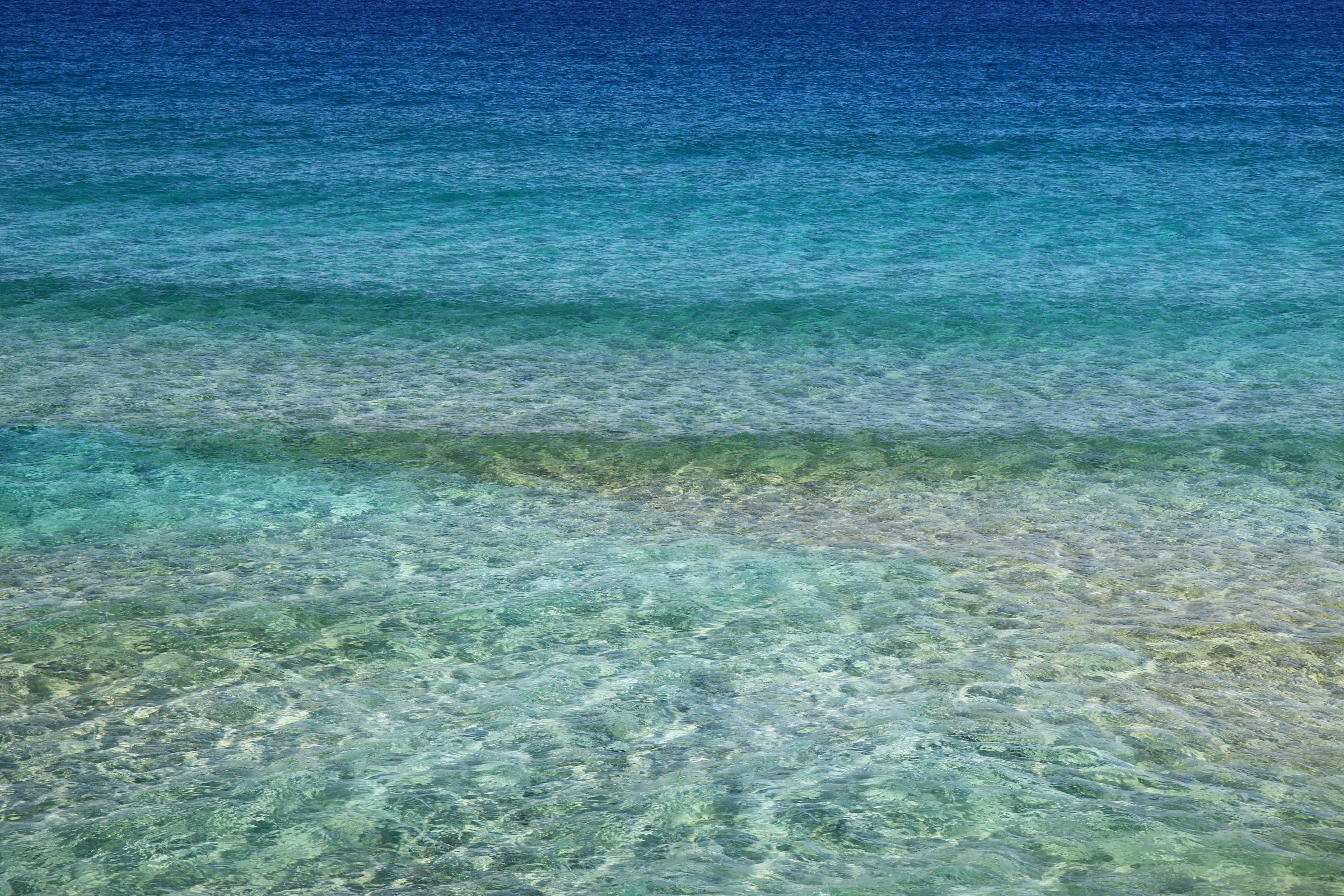 Banner image 3